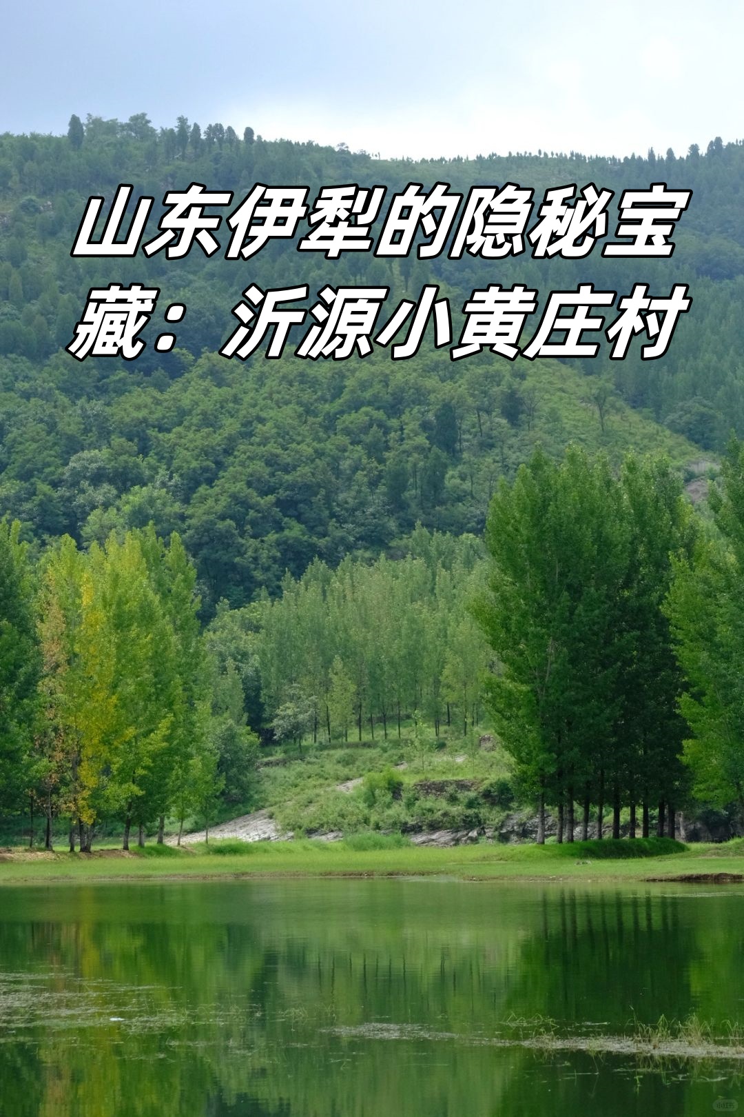 山东伊犁的隐秘宝藏:沂源小黄庄村  我发现了山东的一个隐秘宝藏