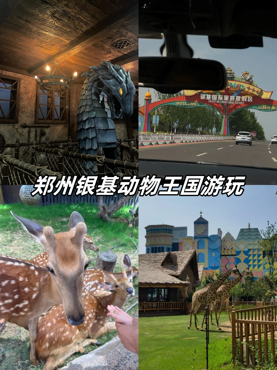 郑州银基动物王国游玩  心心念念的银基动物王国之旅,终于实现了!