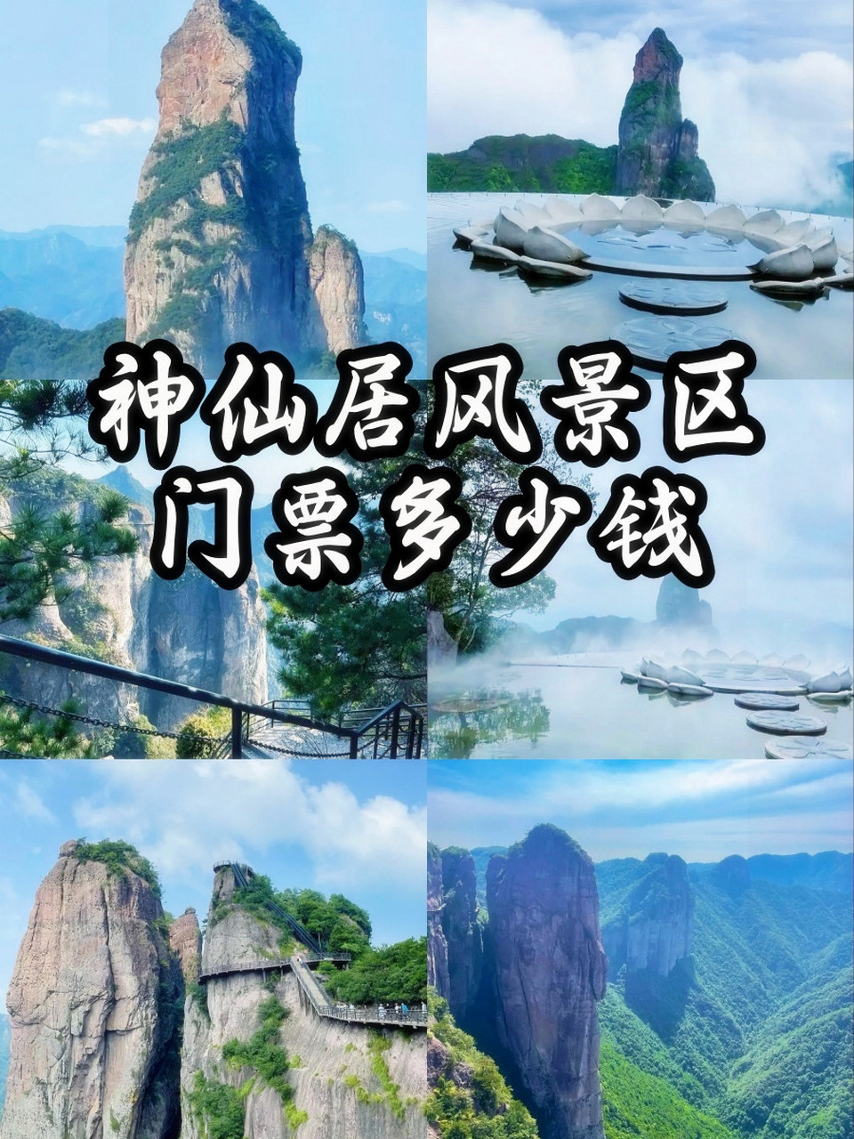 神仙居最近可真火啊!