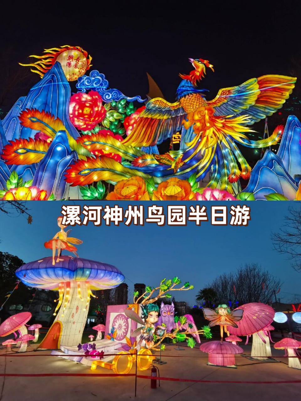 漯河神州鸟园夜场门票图片