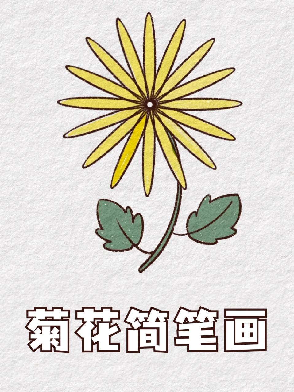 花花简笔画 漂亮图片