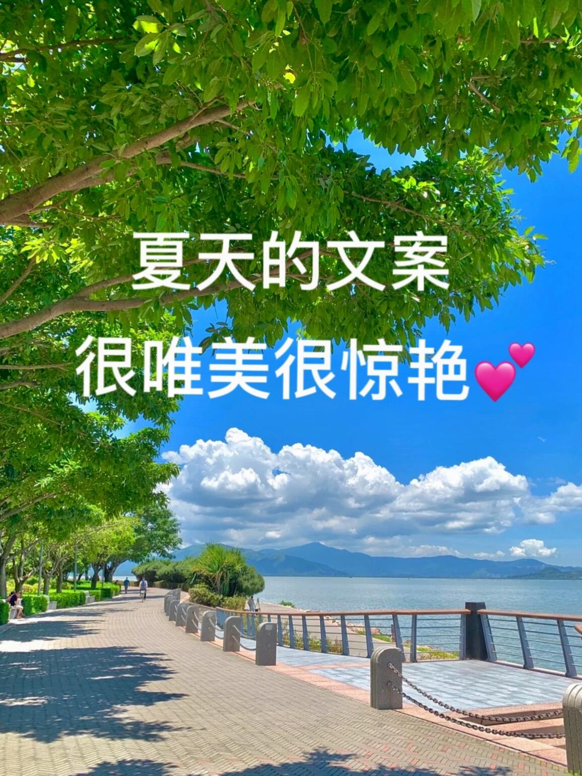 夏天很唯美很惊艳的句子  [鞭炮][666]~这几天天气炎热,也预兆着夏天