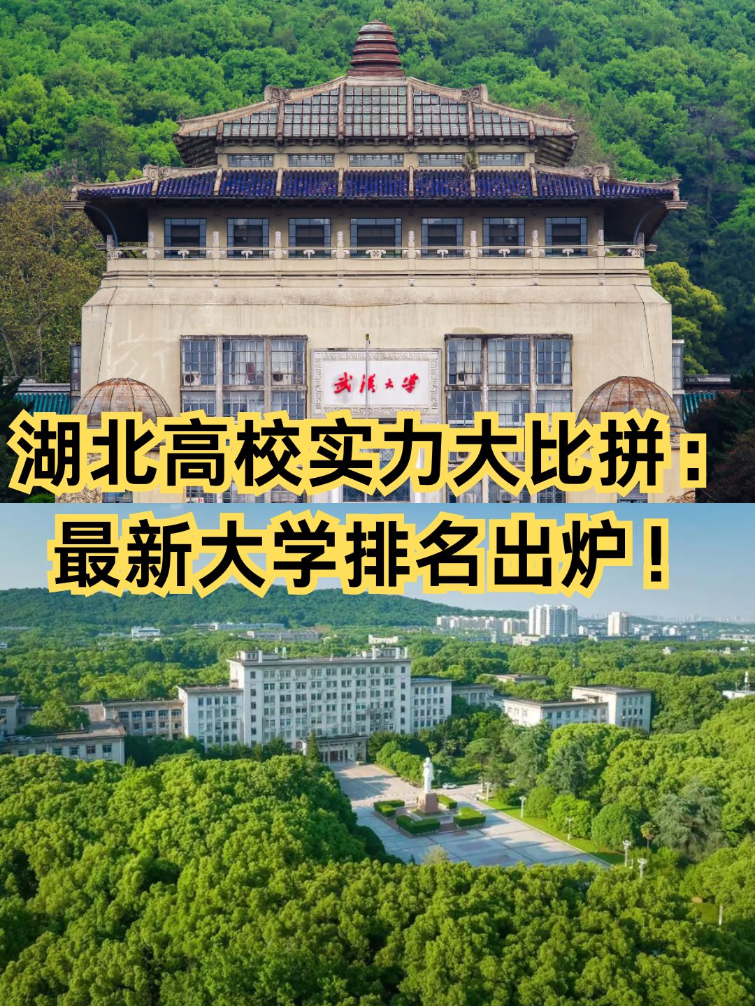 hey,亲们!最新的湖北大学排名出炉啦!