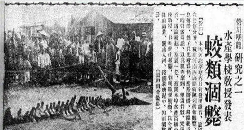 1934年辽宁营口坠龙事件之谜