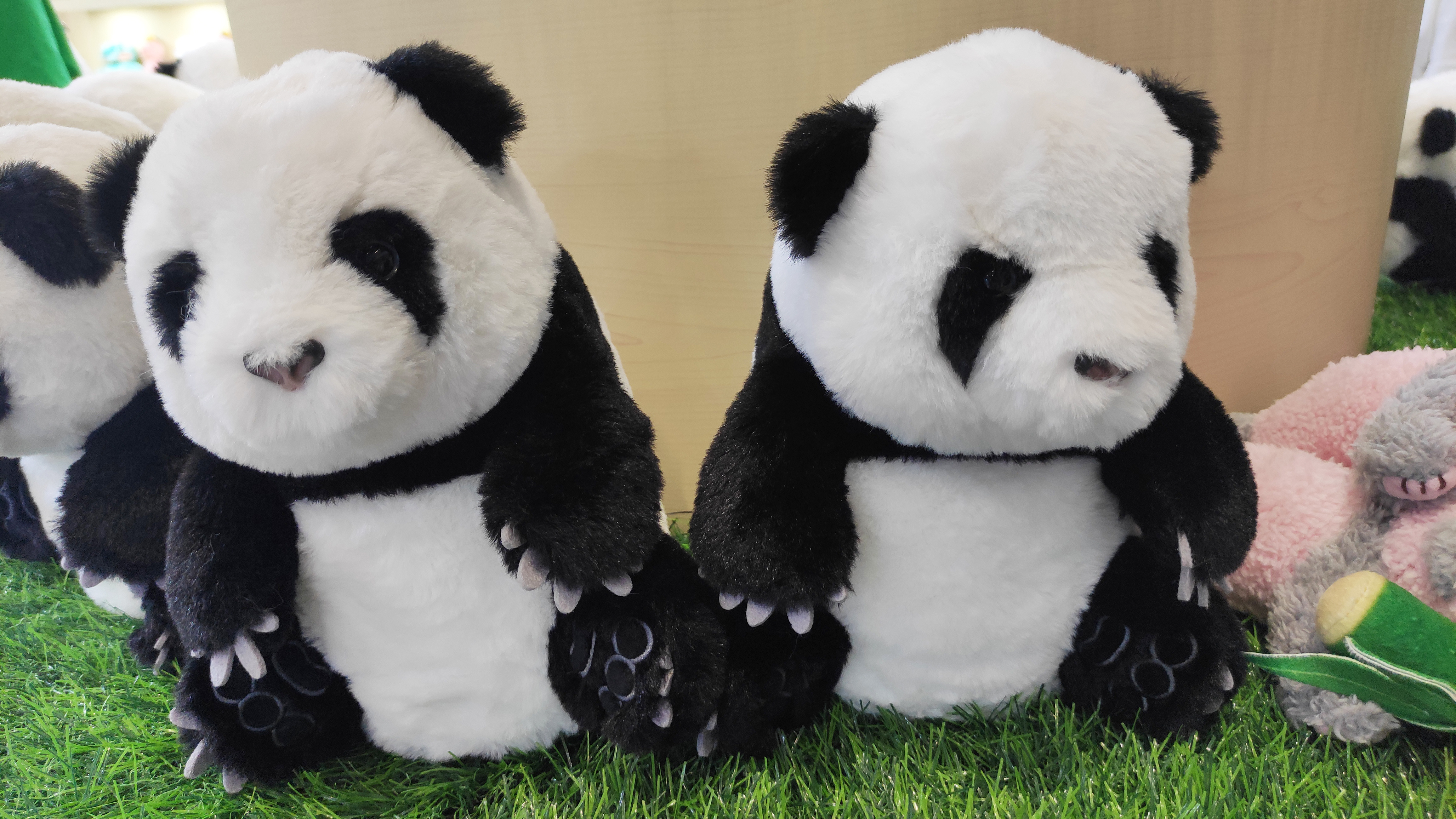 传统与潮流并进 内地首展闪耀鹏城