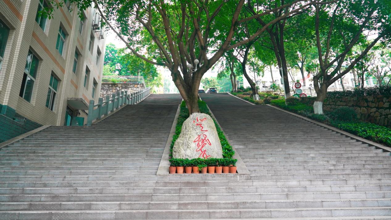 重庆技师学院图片