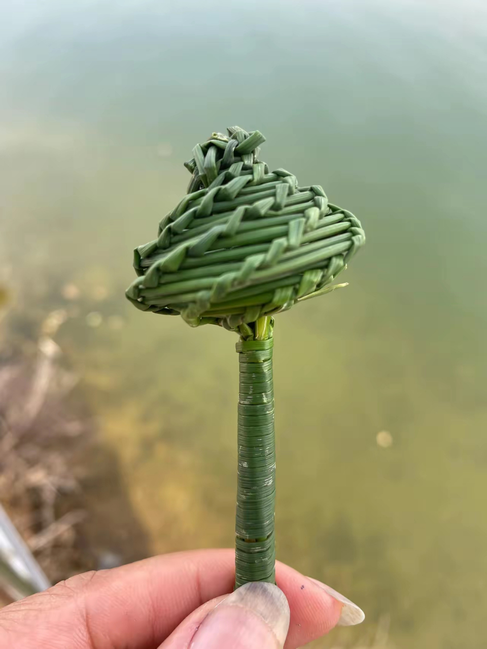 有多少人小时候编玩过这个 小时候我们村种灯芯草编凉席,我们小孩子