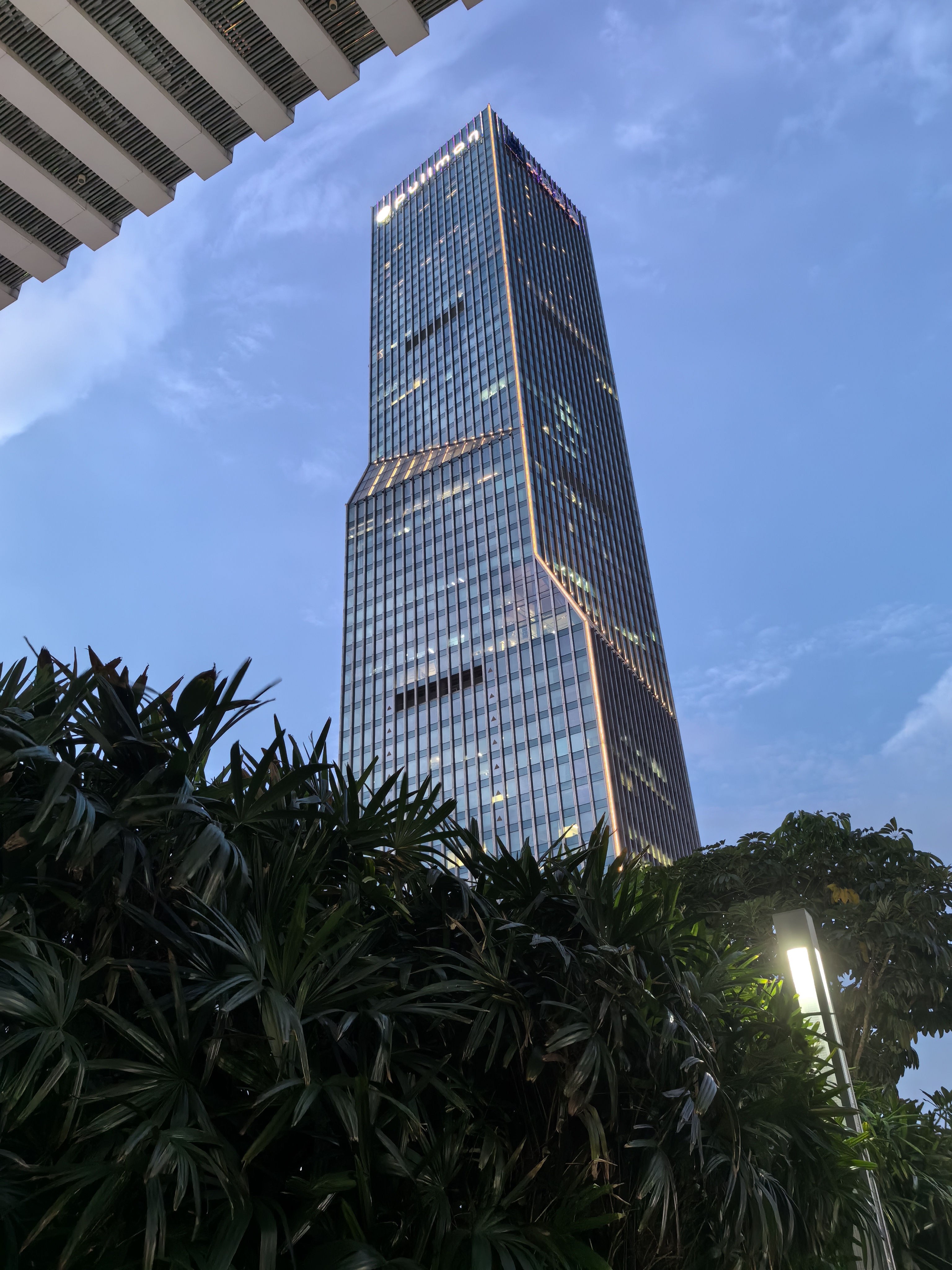 孔雀欢,向东南, 不惧风吹雨打颤. 创业前行路漫漫!