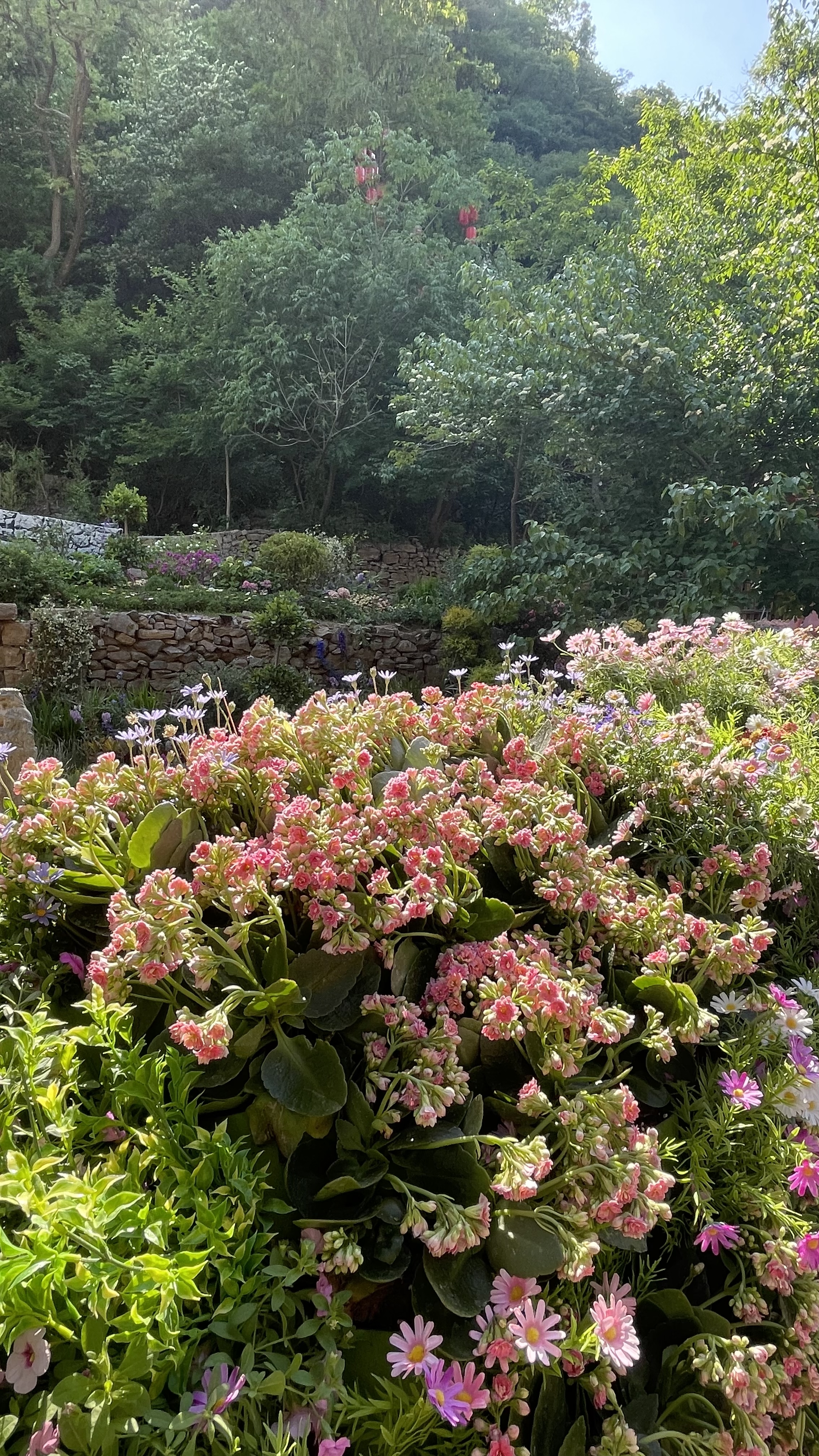 淄博红叶柿岩旅游区,山脚小丽江布.@素人远兮的动态