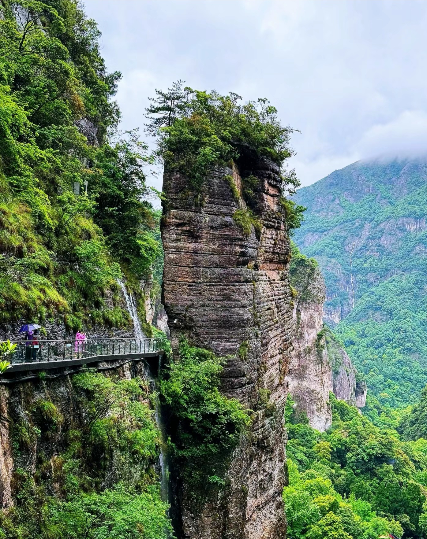 春游温州雁荡山          邓志明/雨煮茶香韵 春色满雁山,绿染峰峦碧