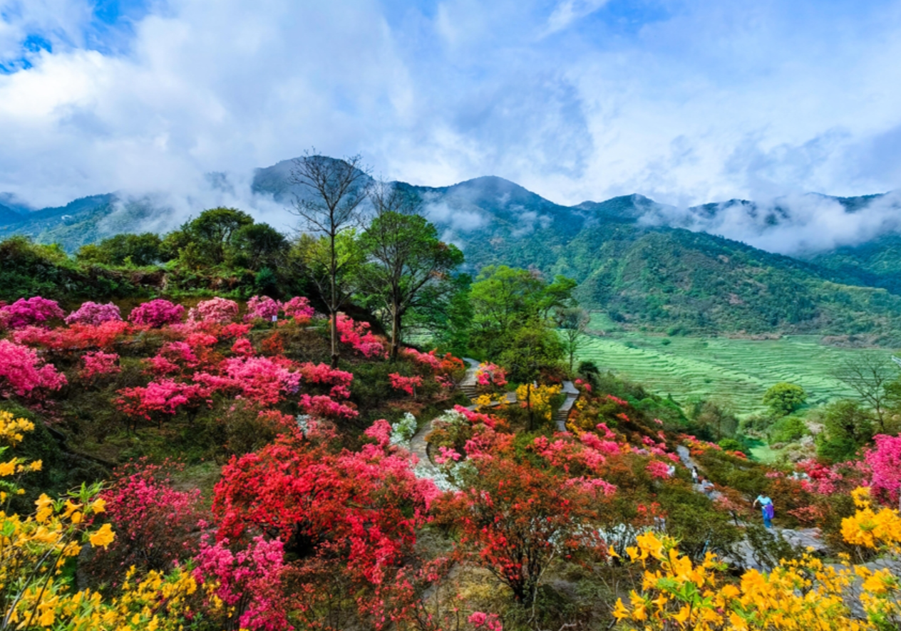 走进江西婺源篇(一)篁岭游