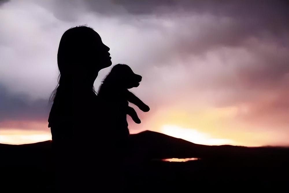 回顾:把狼当儿子养的四川妹子,多年后再次相认结局