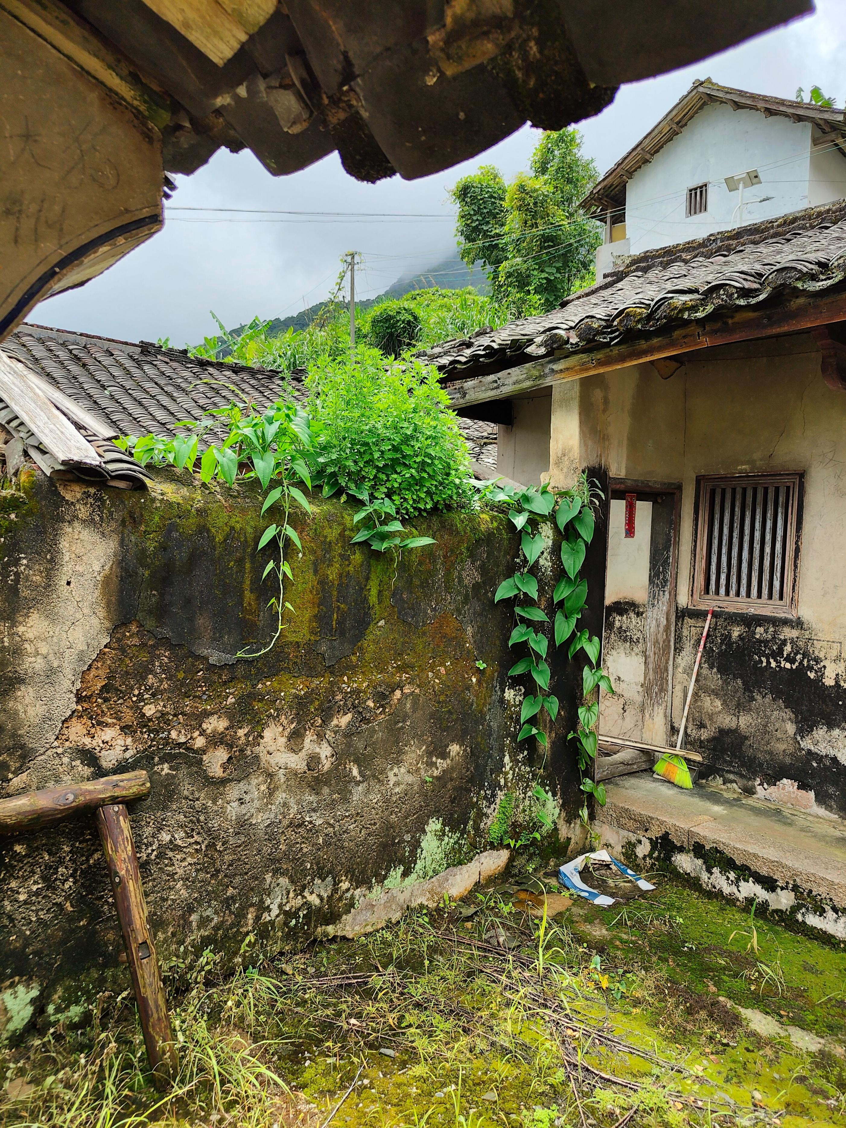徜徉于云雾缭绕的小山村,迷恋于客家乡村美景,石涧泉水让我醉了