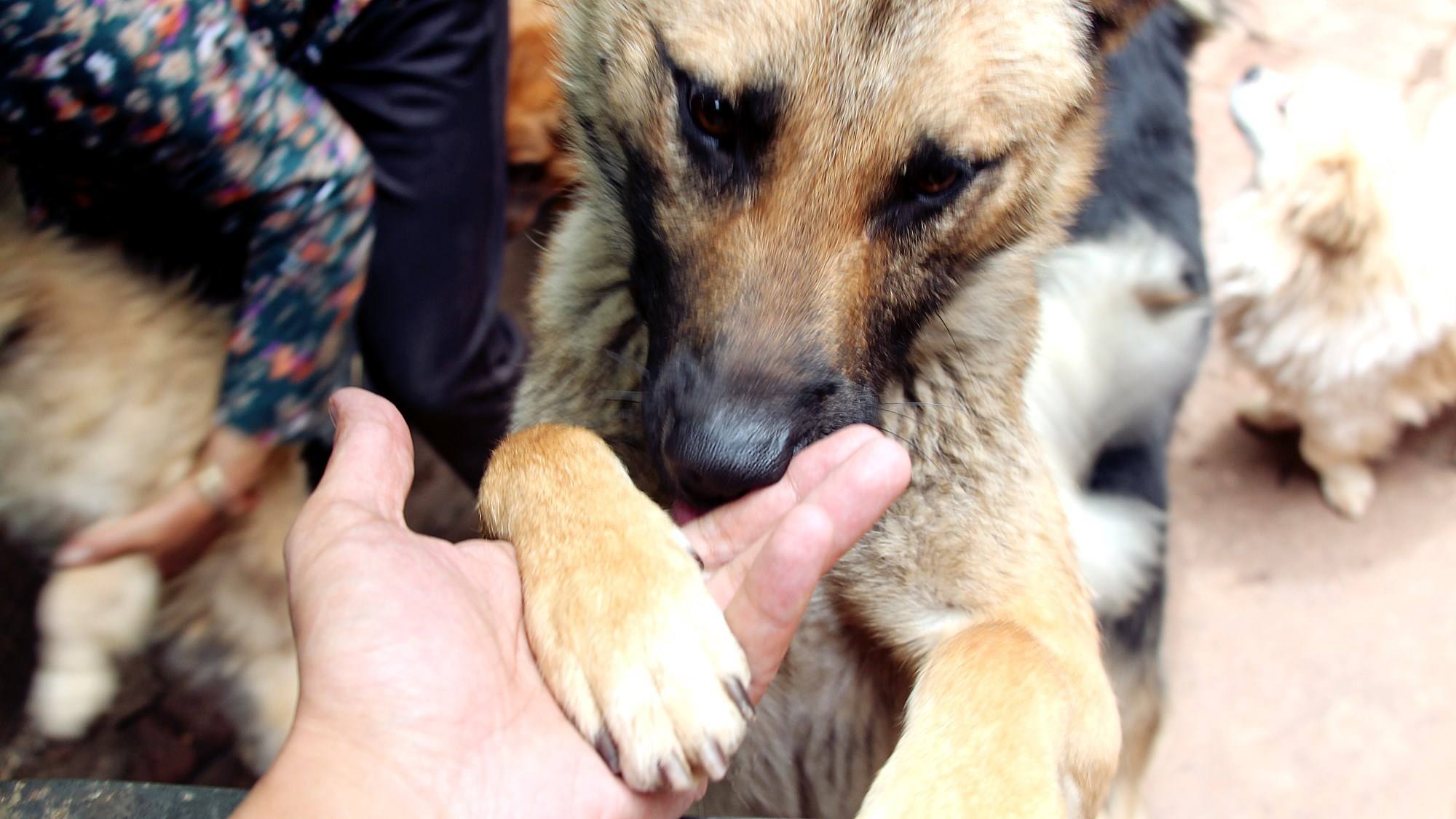 2018年,重庆女网红恋上3婚男友,一年后自曝:被摔打连狗都不如