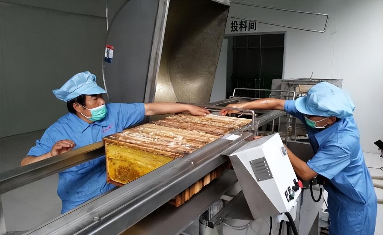 所谓的科技狠活蜂蜜,实则经不起推敲,带你了解压蜜机的奥秘