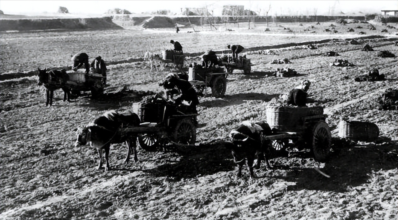 在陈永贵去到中央之前,他就凭借在大寨村的出色的成绩,在山西省委班子