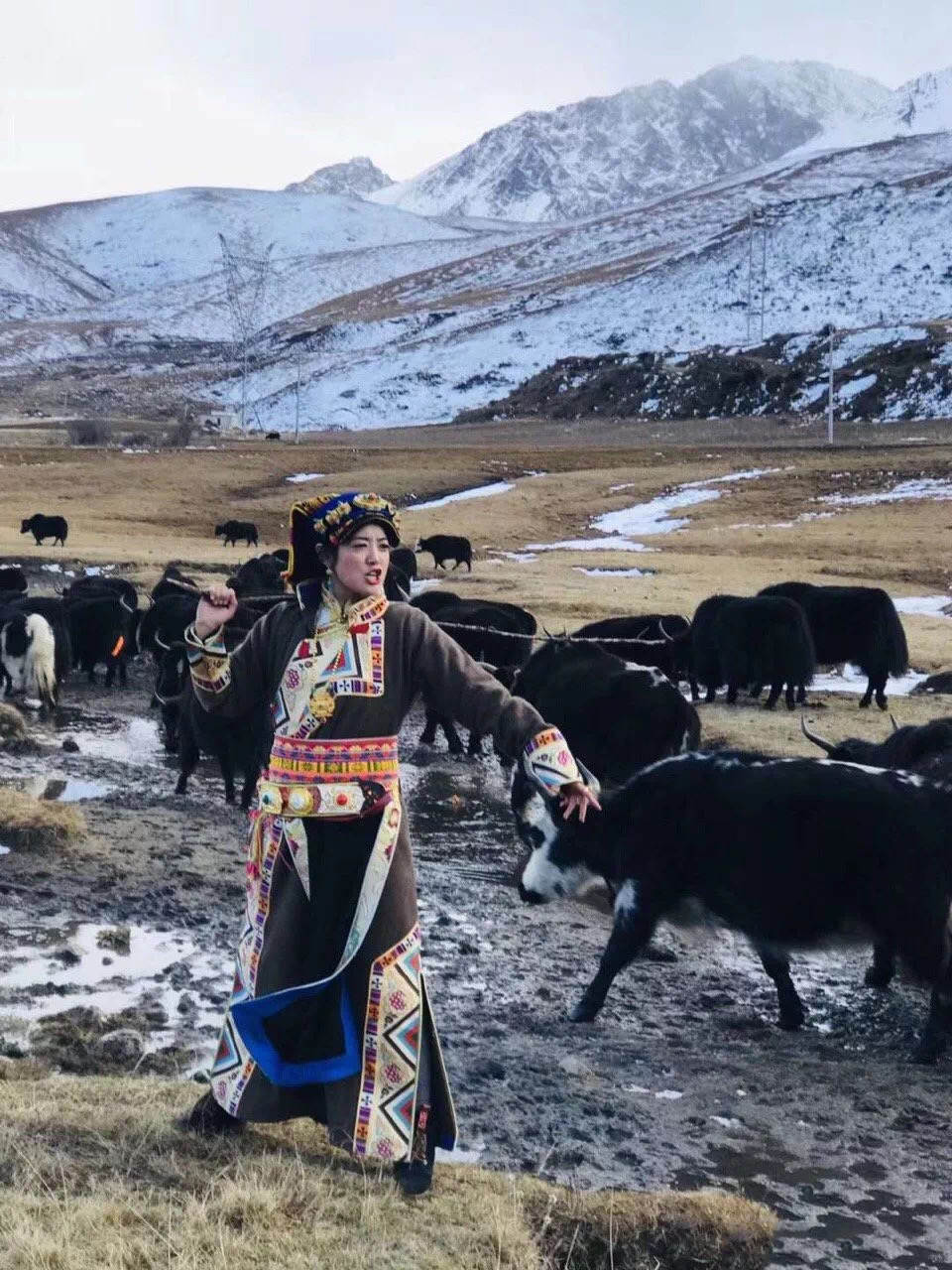 回顾:四川女孩嫁藏族小伙,放弃高薪到藏区农村生活,助力乡村扶贫