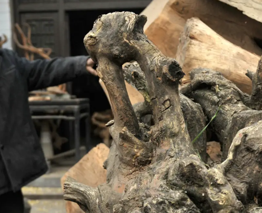 2014年,男子用1万块钱买树根做根雕,一年后有人出价千万都不卖