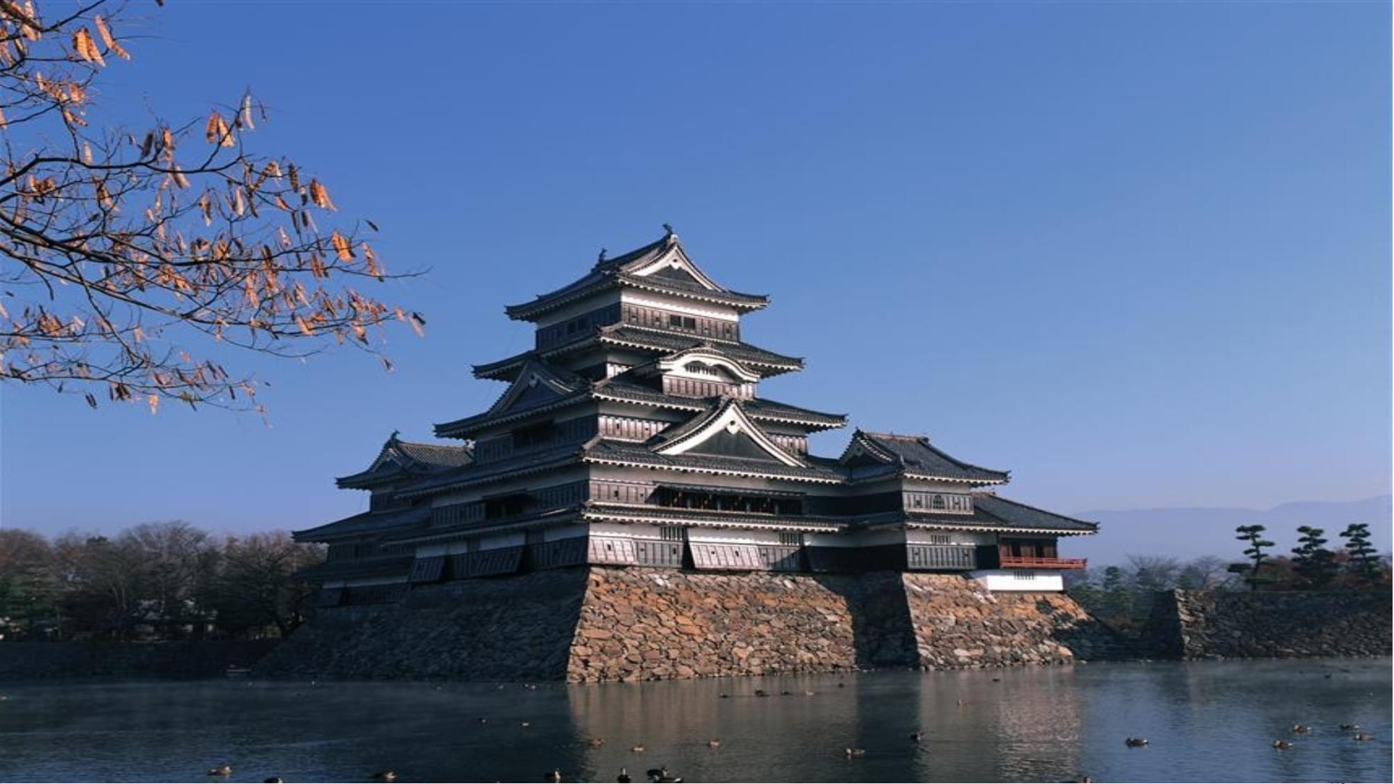 在日本葬着一位中国人,子孙后代前去扫墓,德川家族还得亲自陪同