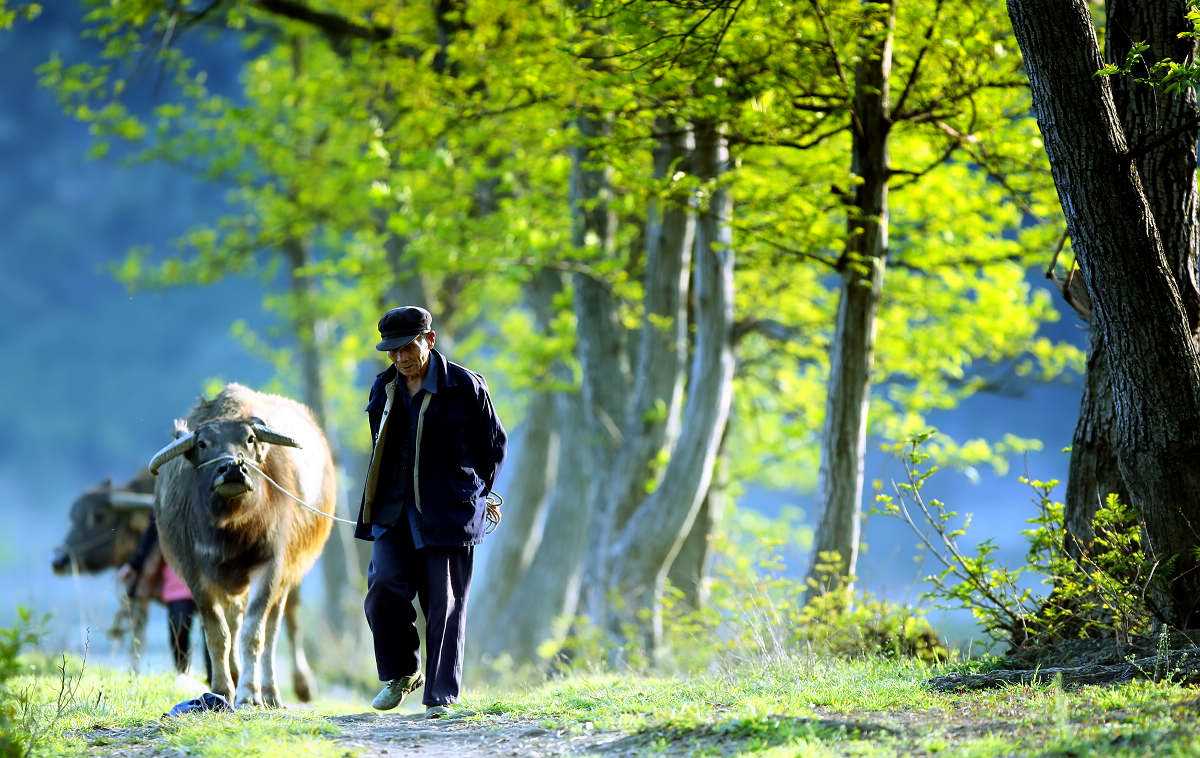 2018年,骗子开办假警校招生,召开家长会遇到真警察,当场被刑拘