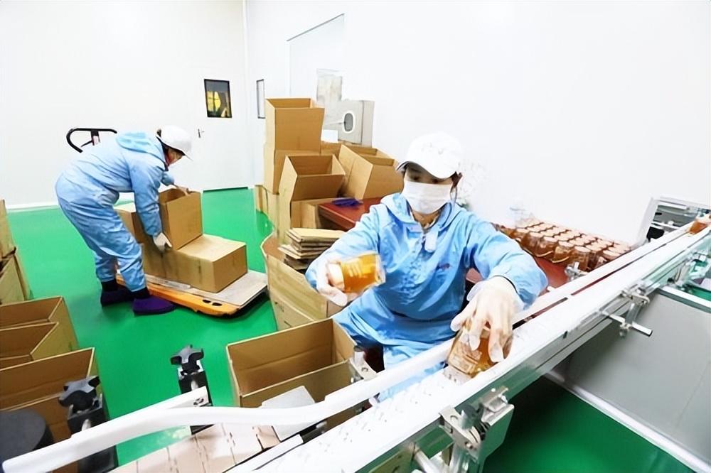 所谓的科技狠活蜂蜜,实则经不起推敲,带你了解压蜜机的奥秘