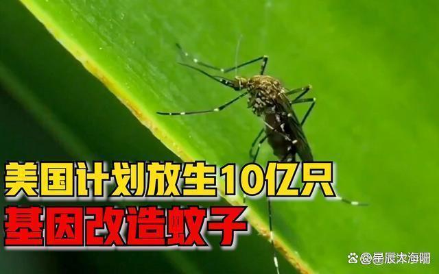 九成人不懂蚊子最大"天敌"是啥?家里放点它,整夜开窗都不怕