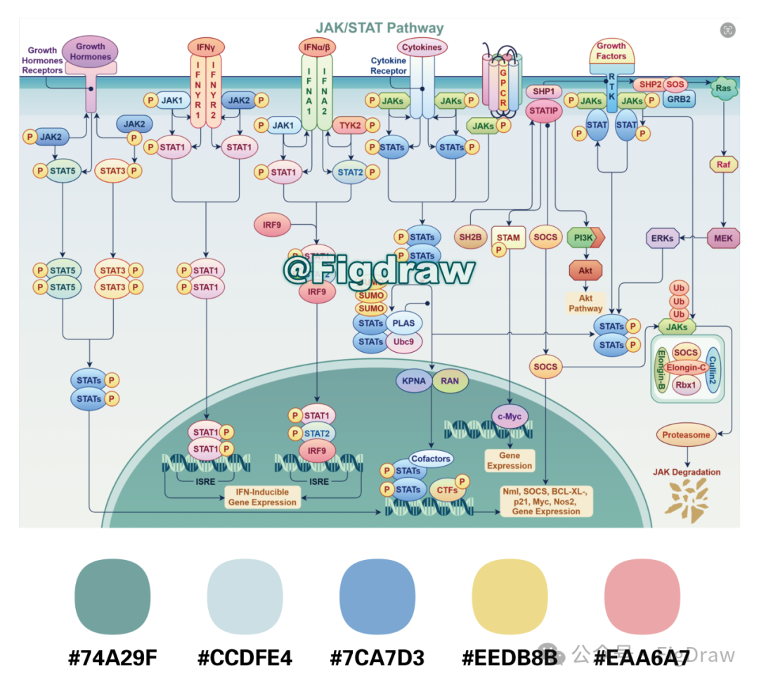 科研绘图网站推荐figdraw工具