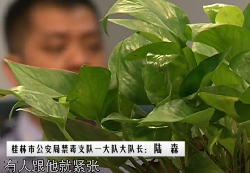 2014年,广西街头上演抓贼大戏,嫌疑人凑热闹,警方蹲守抓捕25人