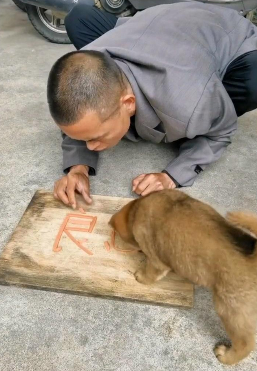 良心都让狗吃了图片图片