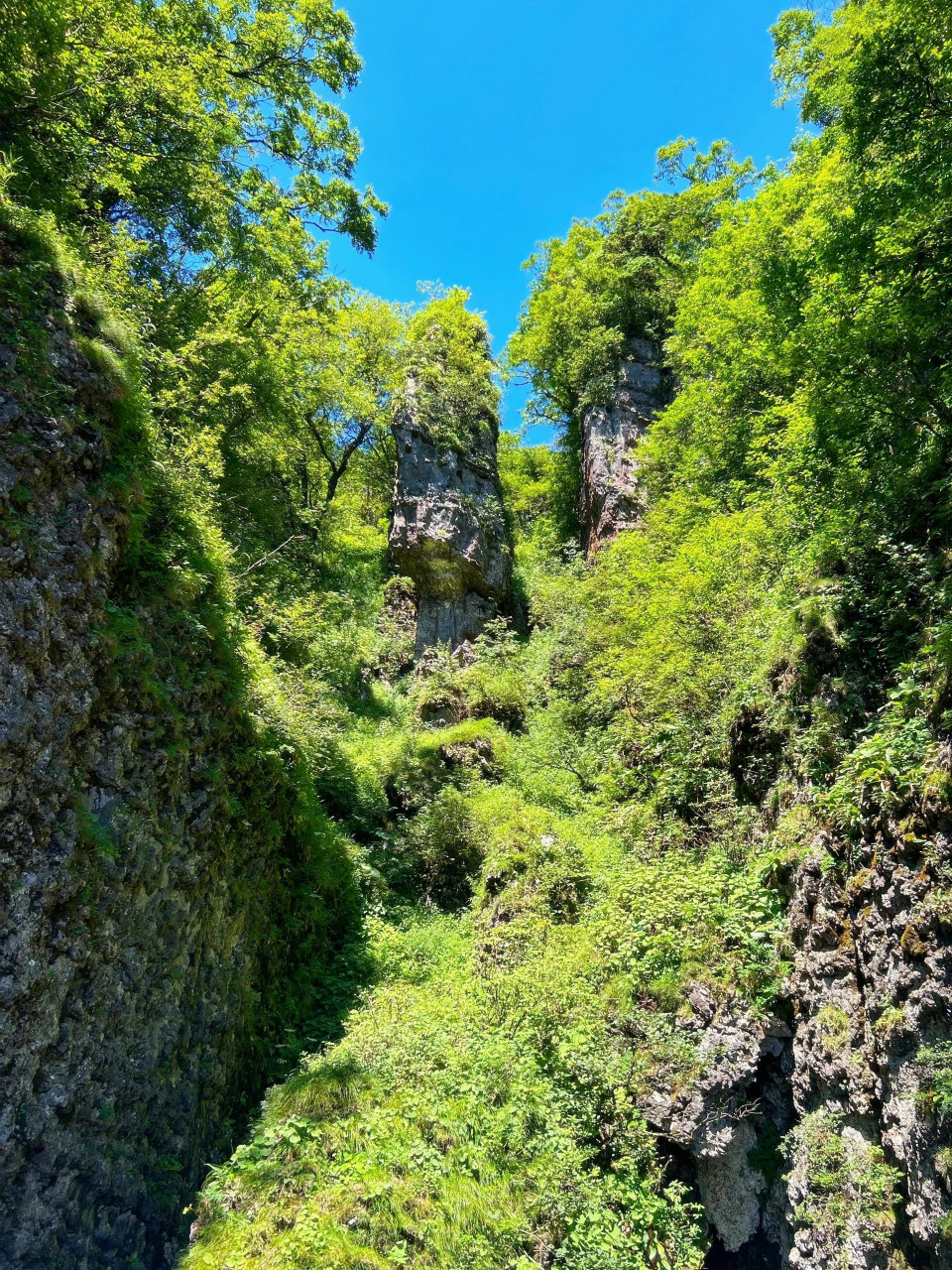 探索龙头山:发现不一样的自然奇观!