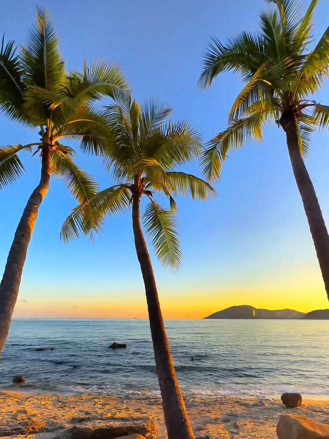 白天碧海蓝天椰林摇曳;傍晚日落如画海浪轻唱度假感瞬间爆棚