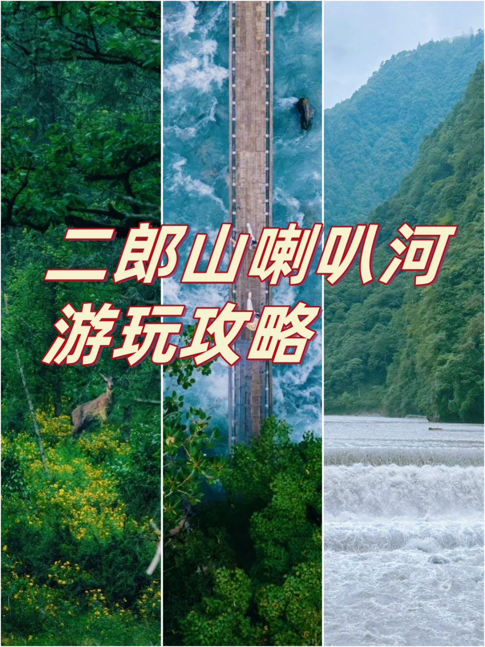 二郎山旅游攻略图片