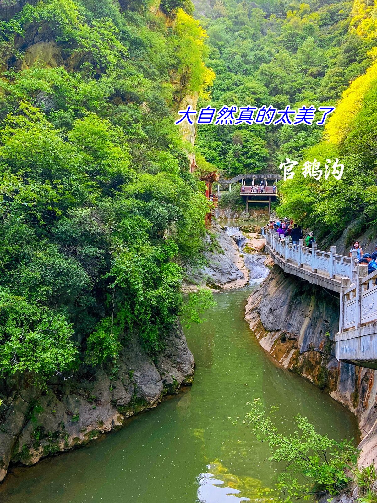 陇南旅游景点大全介绍图片