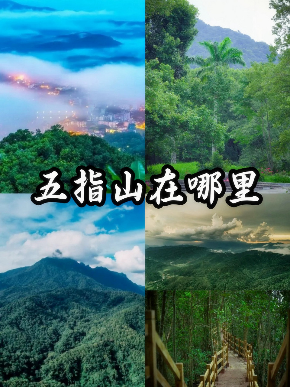 你绝对想不到五指山在这个地方!
