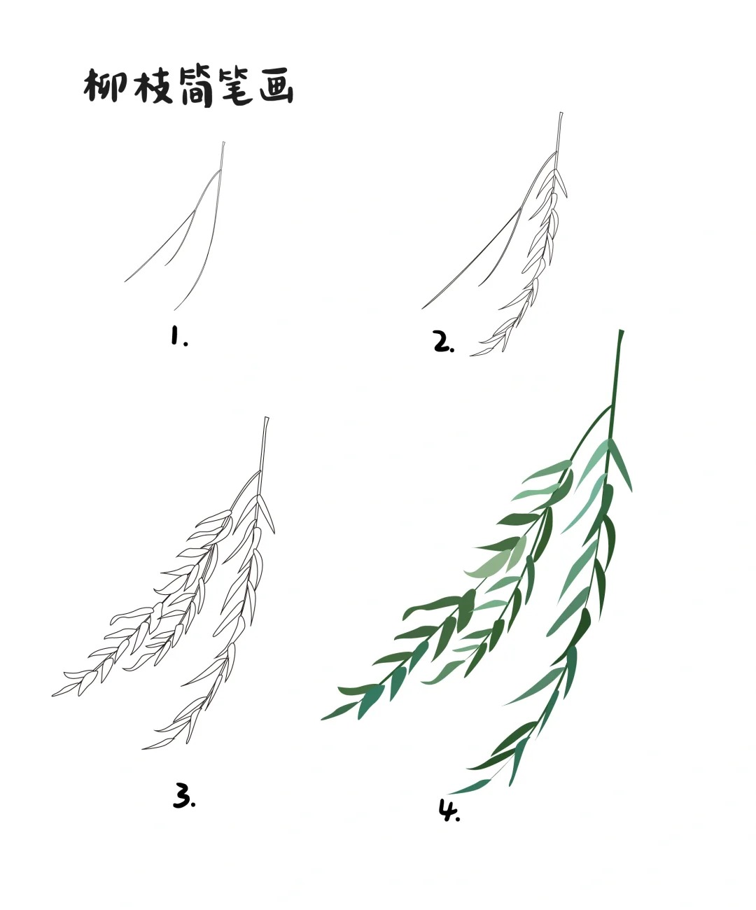 教你简笔画杨柳
