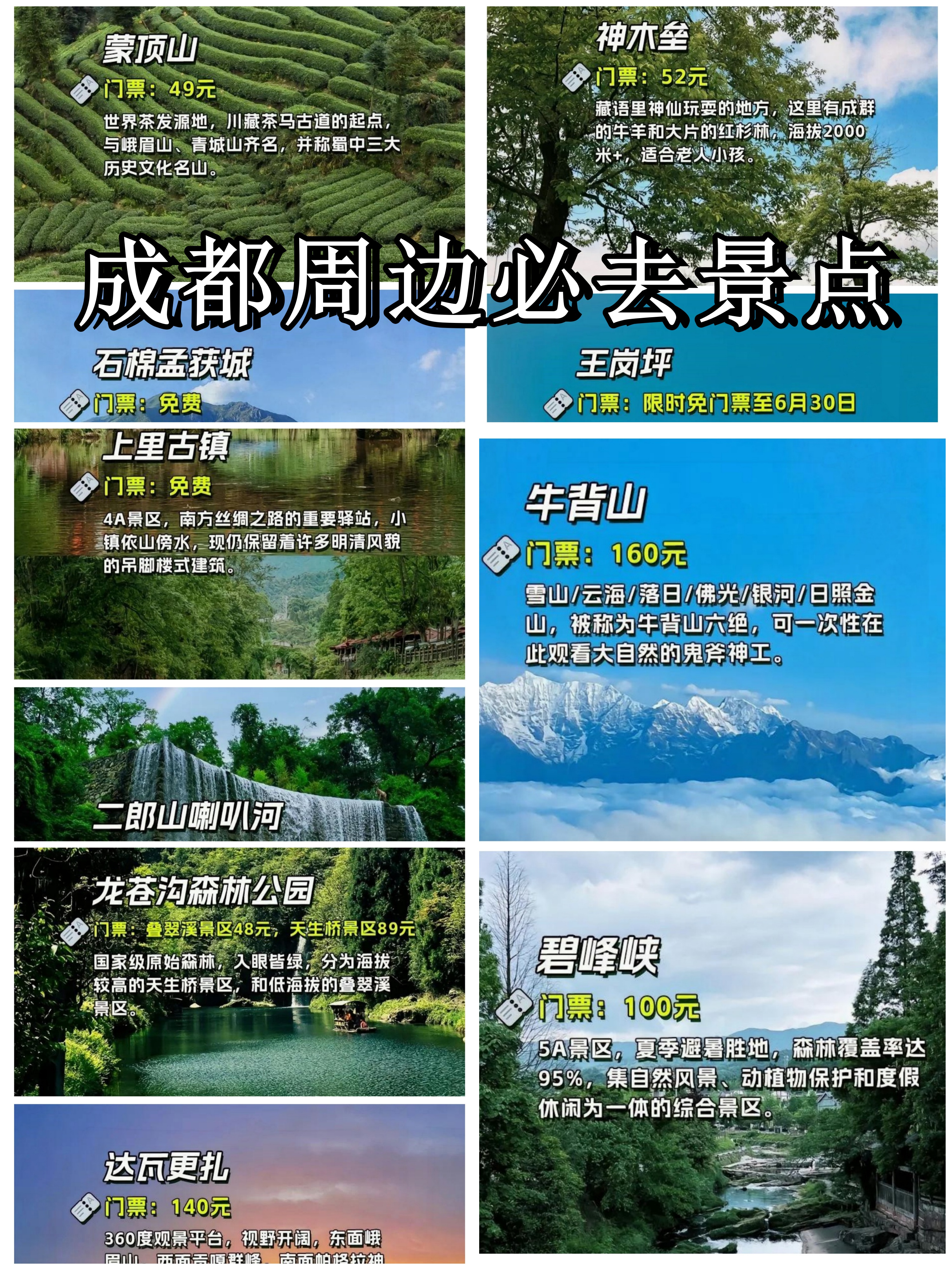 雅安蒙顶山门票图片