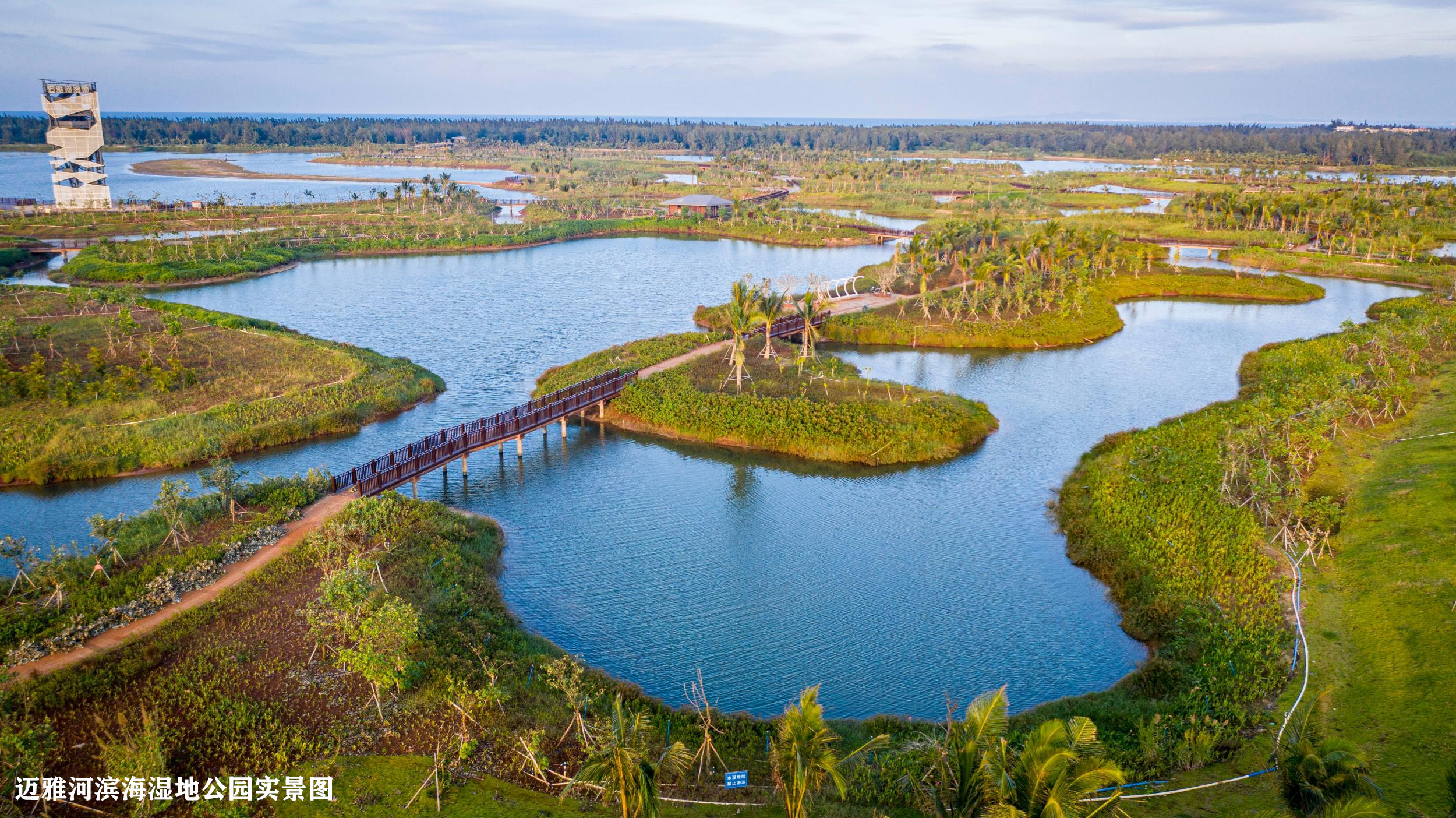 规模top级盘火热登记中,它的入场给海口安居房打了个样!