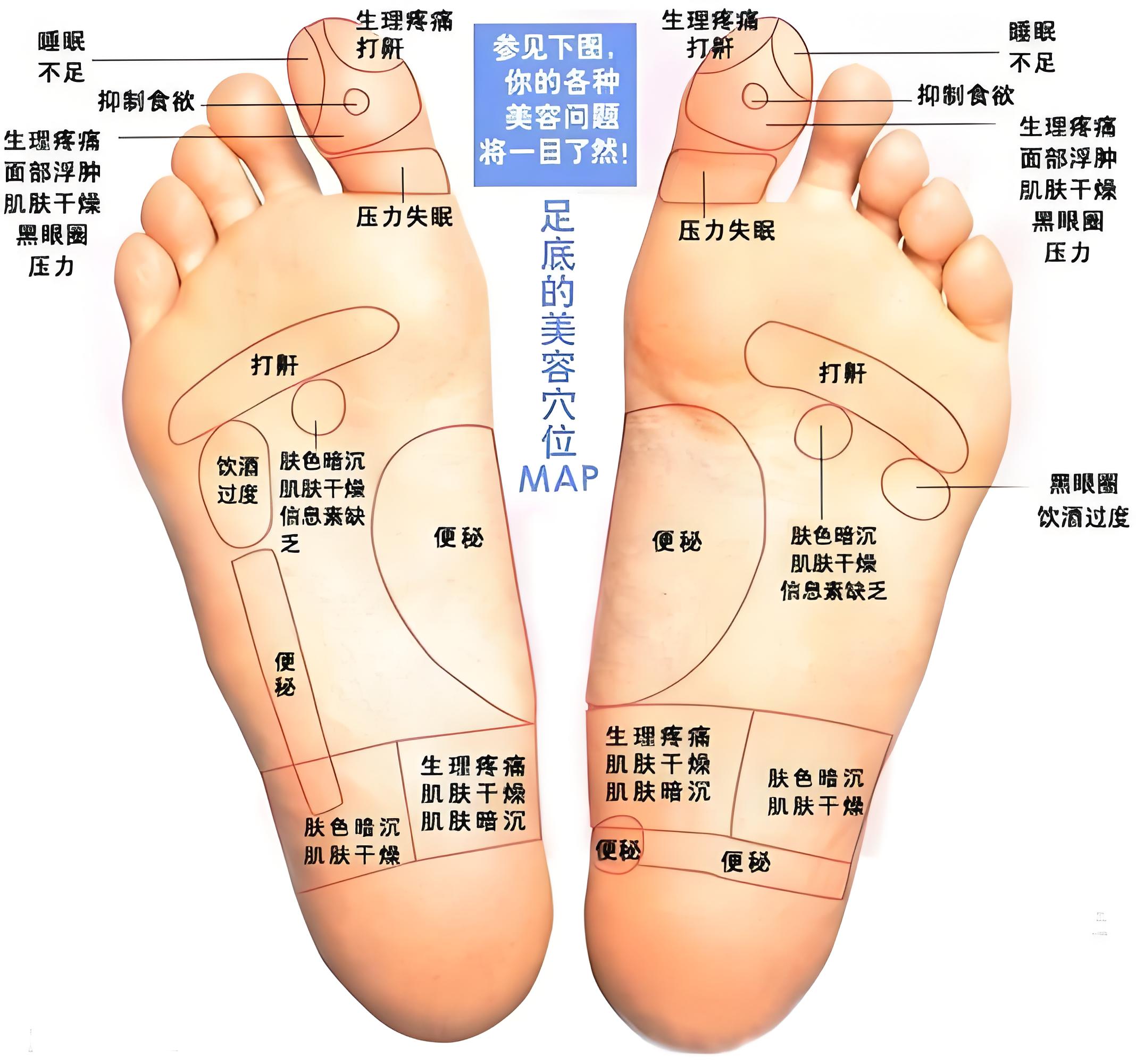 脚底按摩位置图解