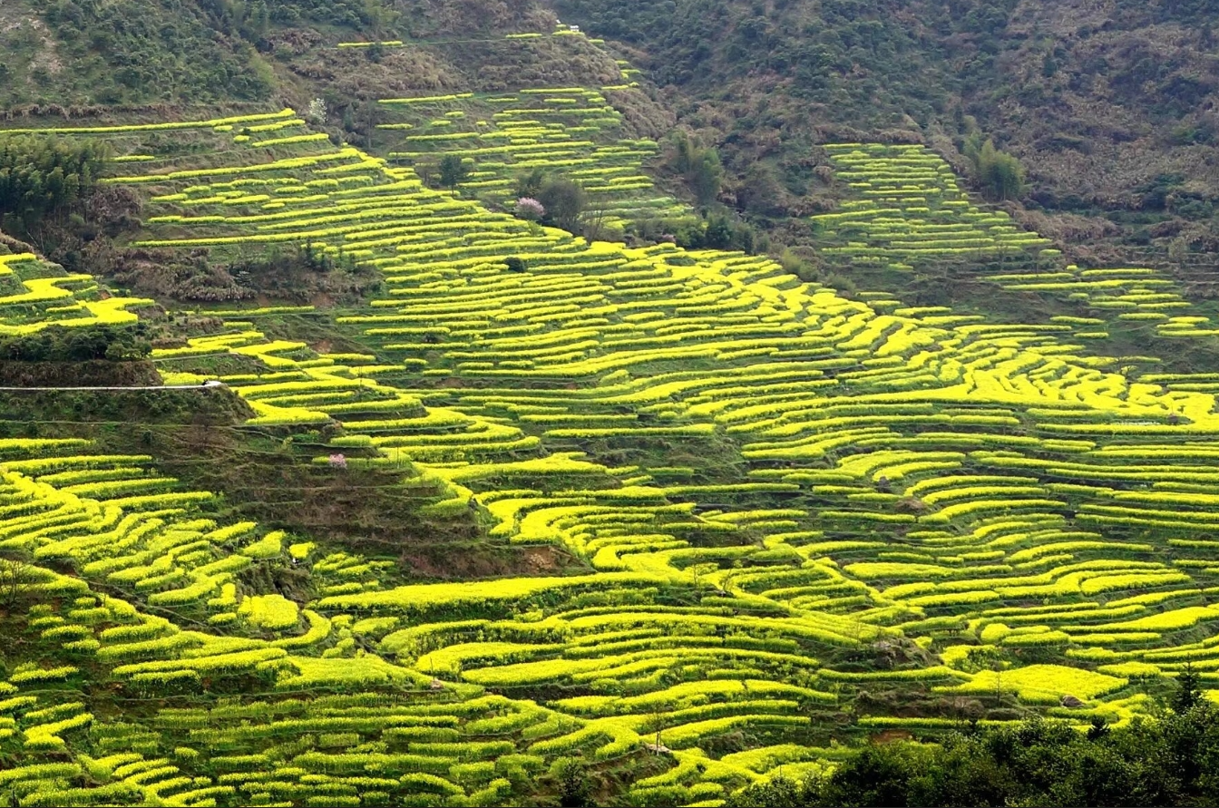 走进江西婺源篇(一)篁岭游