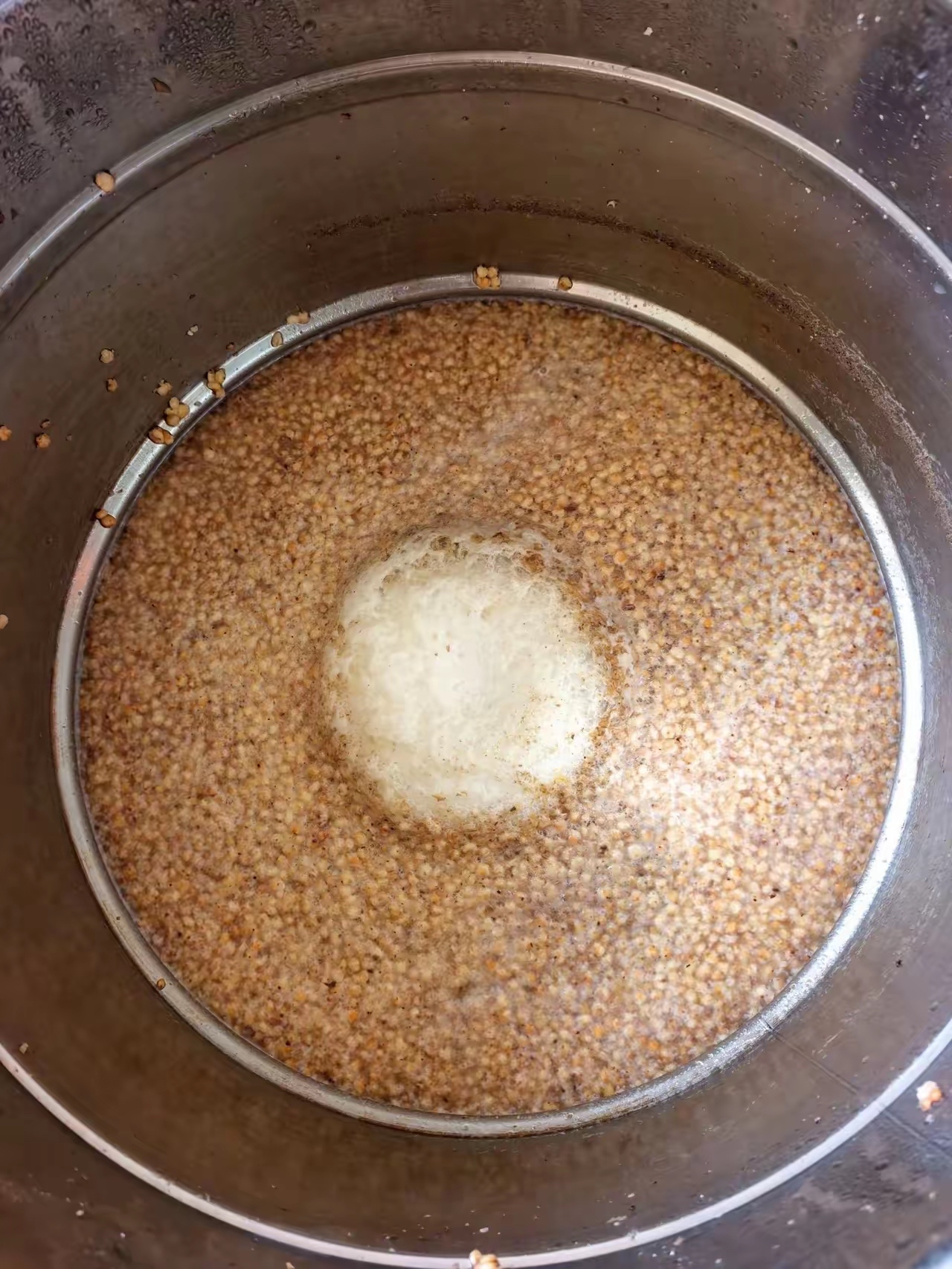 酒友们建议还是自己酿酒纯粮放心 我这几年就自己酿酒喝网上买了