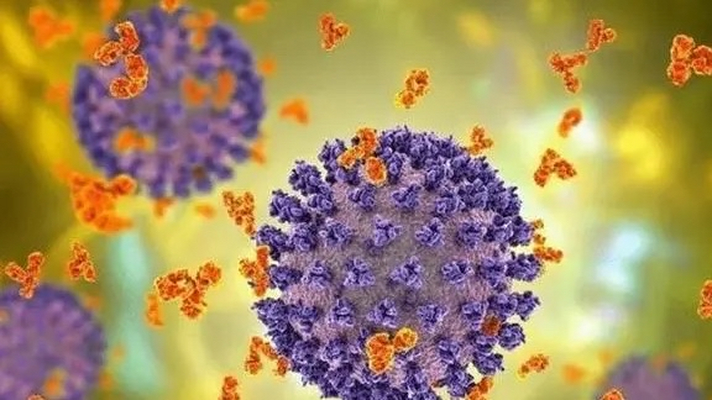 新冠新变异株在美国蔓延  根据美国疾病控制与预防中心(cdc)5月10日