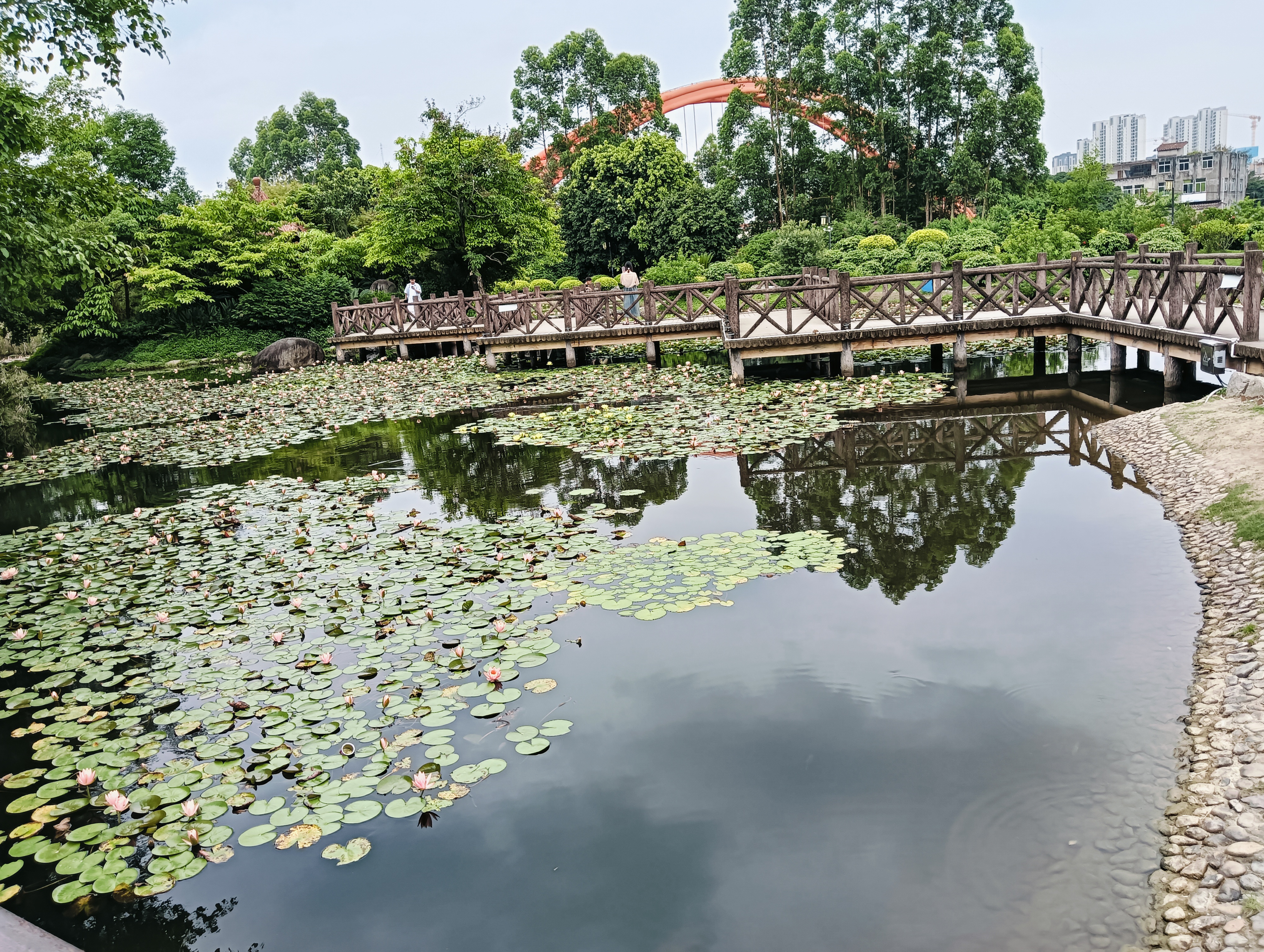 玉湖公园图片