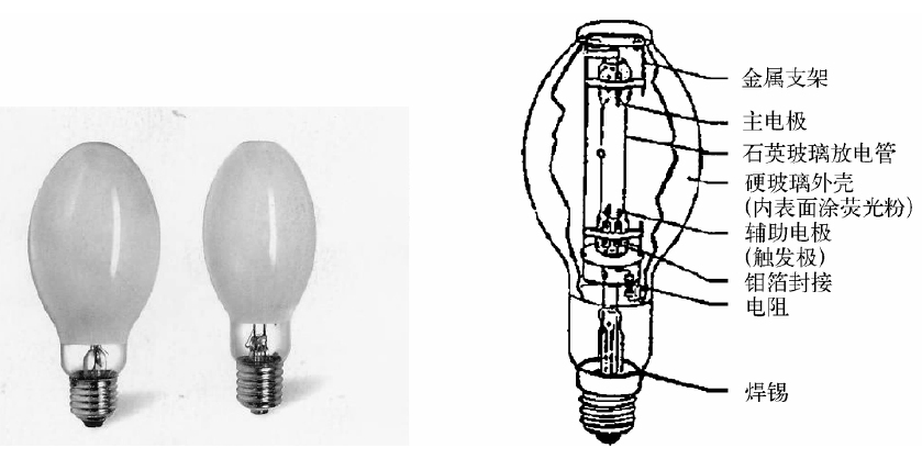 高压汞灯结构图片