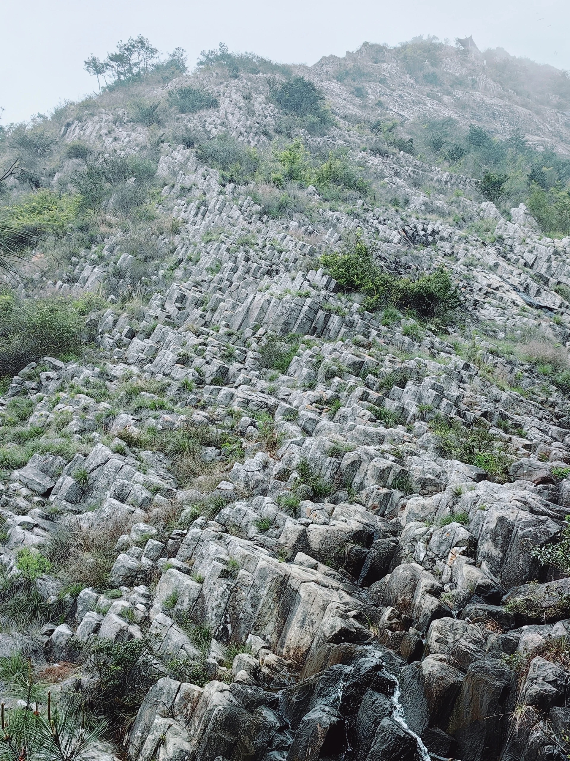 探索临海大火山:八千万年前的地质奇迹