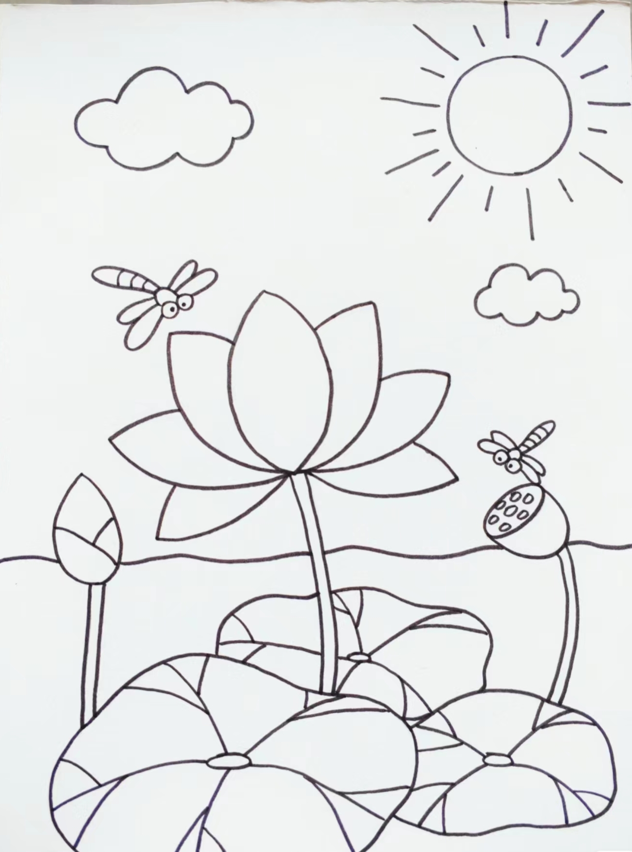 美丽的荷花池塘简笔画  探秘画笔下的荷塘秘境!