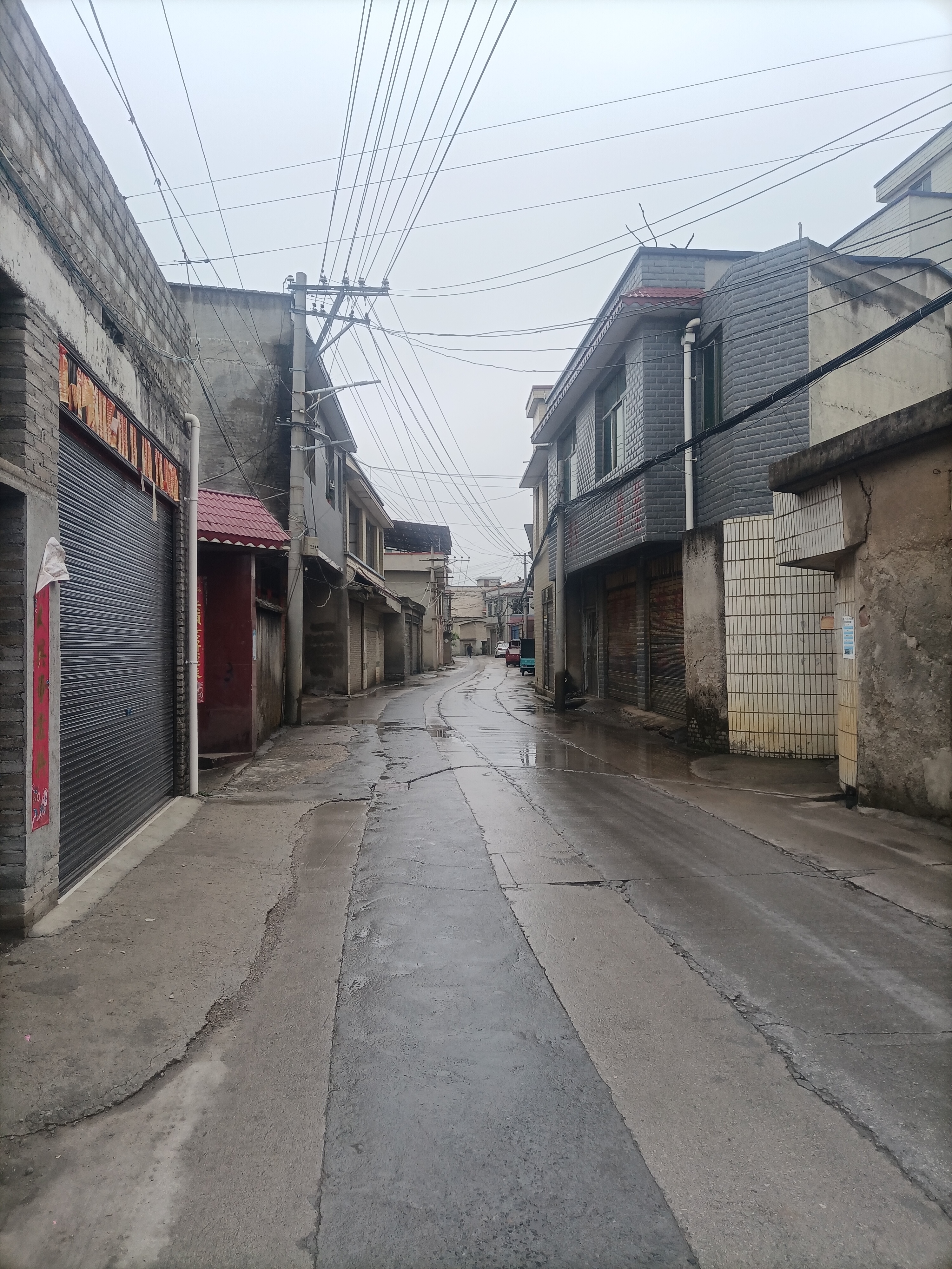 昨日信步乡村野径,禾苗瓜果散乱两旁,轻风裹着鸟鸣时有时无,抹抹绿色