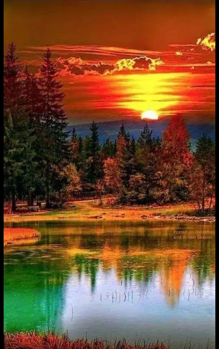 最美不过夕阳红图片分享