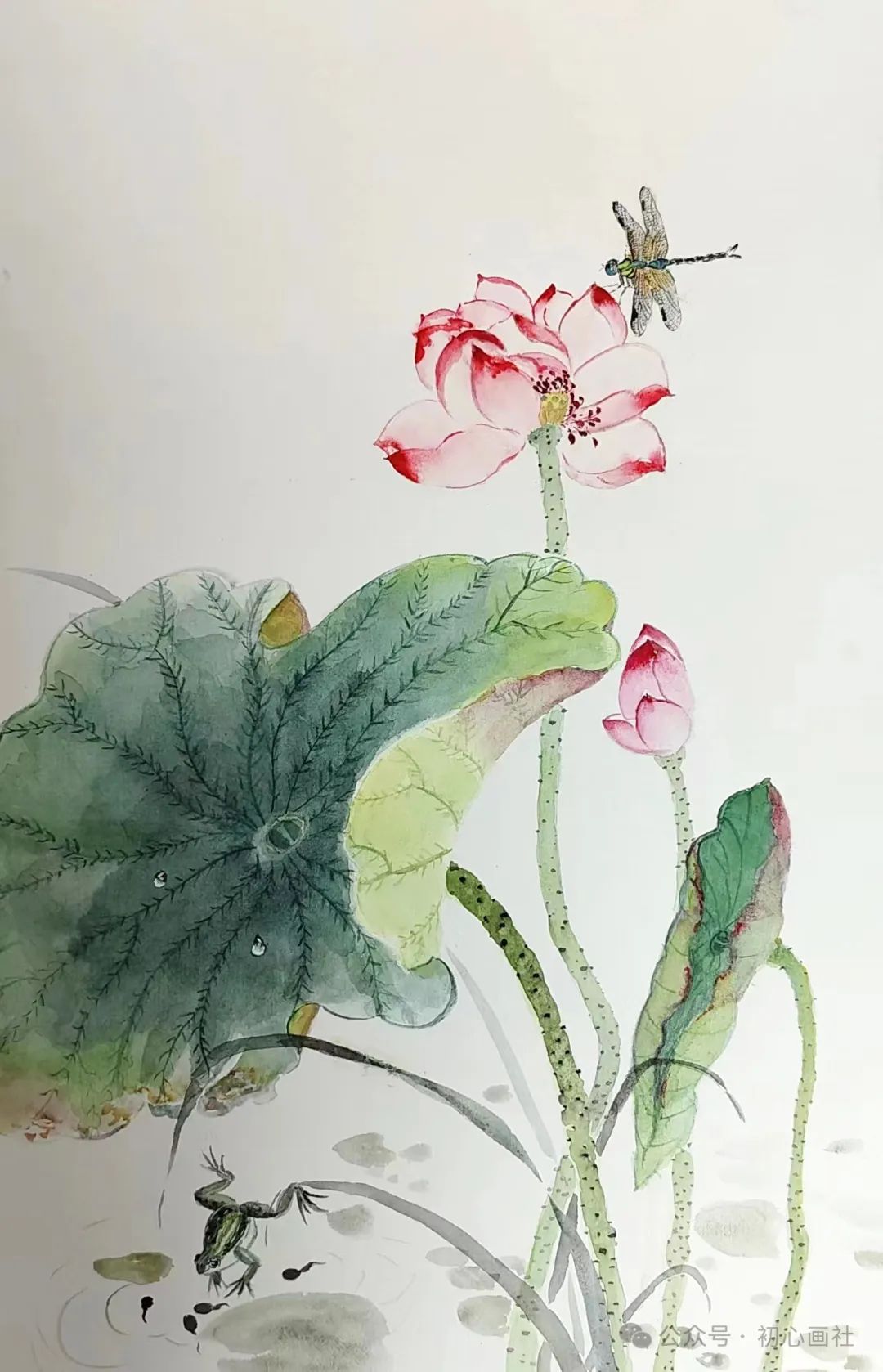 陕西徐振霞《富贵吉祥》50x50cm  河南郑州舒舒《油菜花开》45x65cm