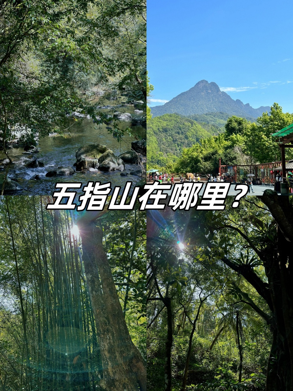 【观五指山】的地点叫【五指山热带雨林风景区】(也叫五指山水