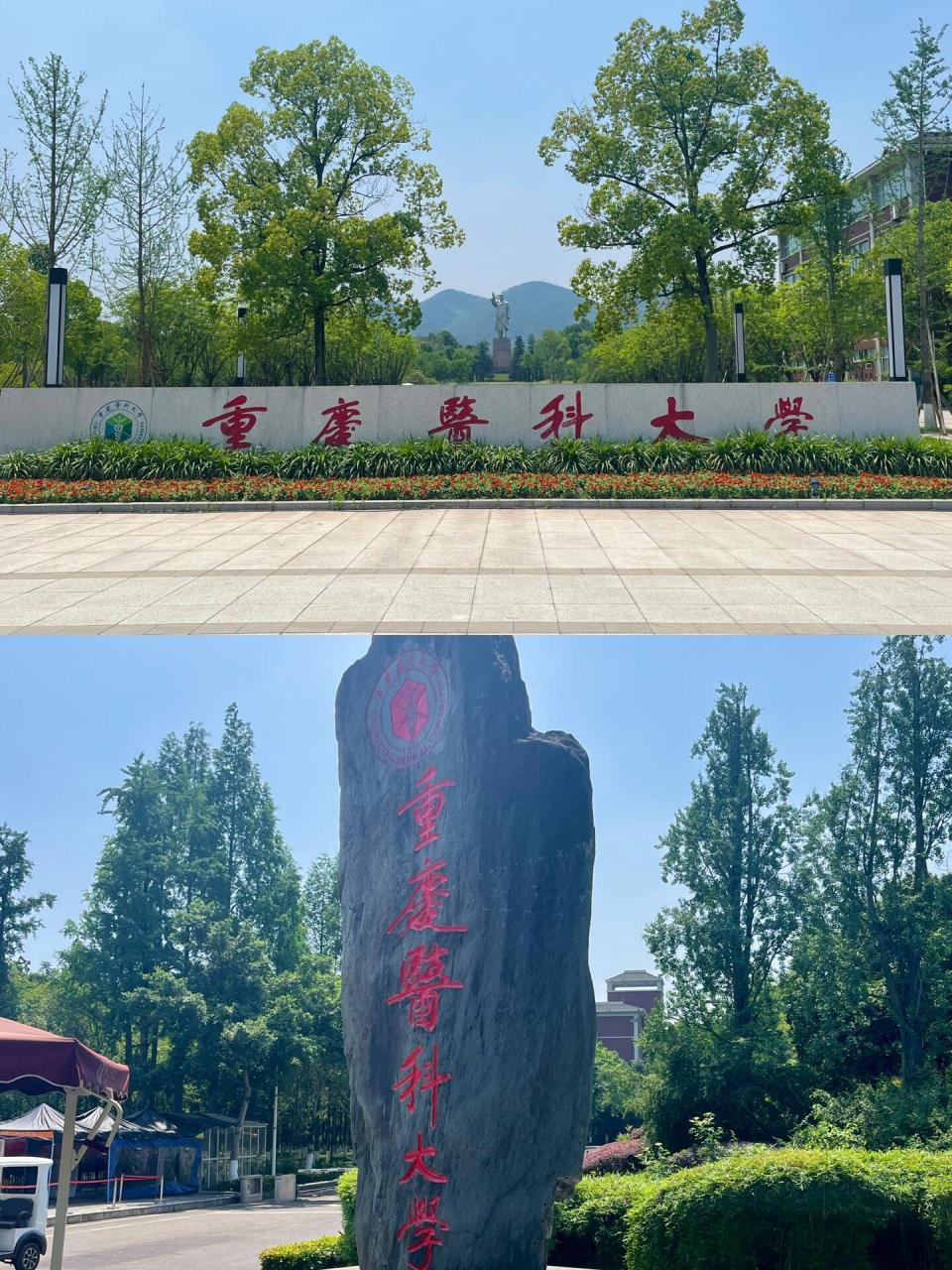 重庆医科大学门口图片